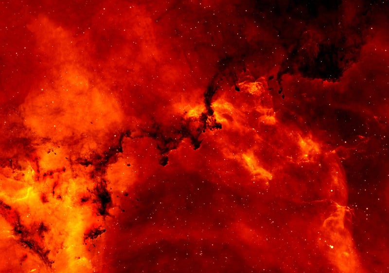 Nebula Nosh