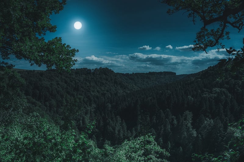 Moon Lanterns