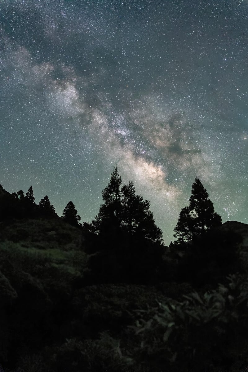 Starry Sky Wedding